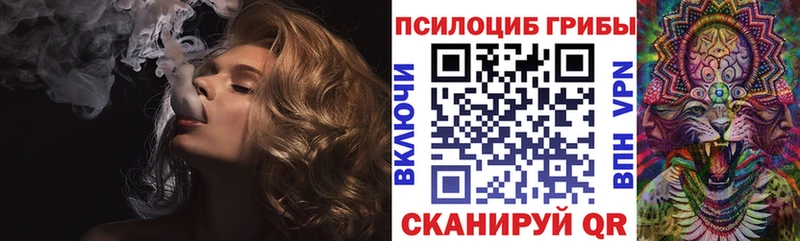 Псилоцибиновые грибы MAGIC MUSHROOMS  Шенкурск 
